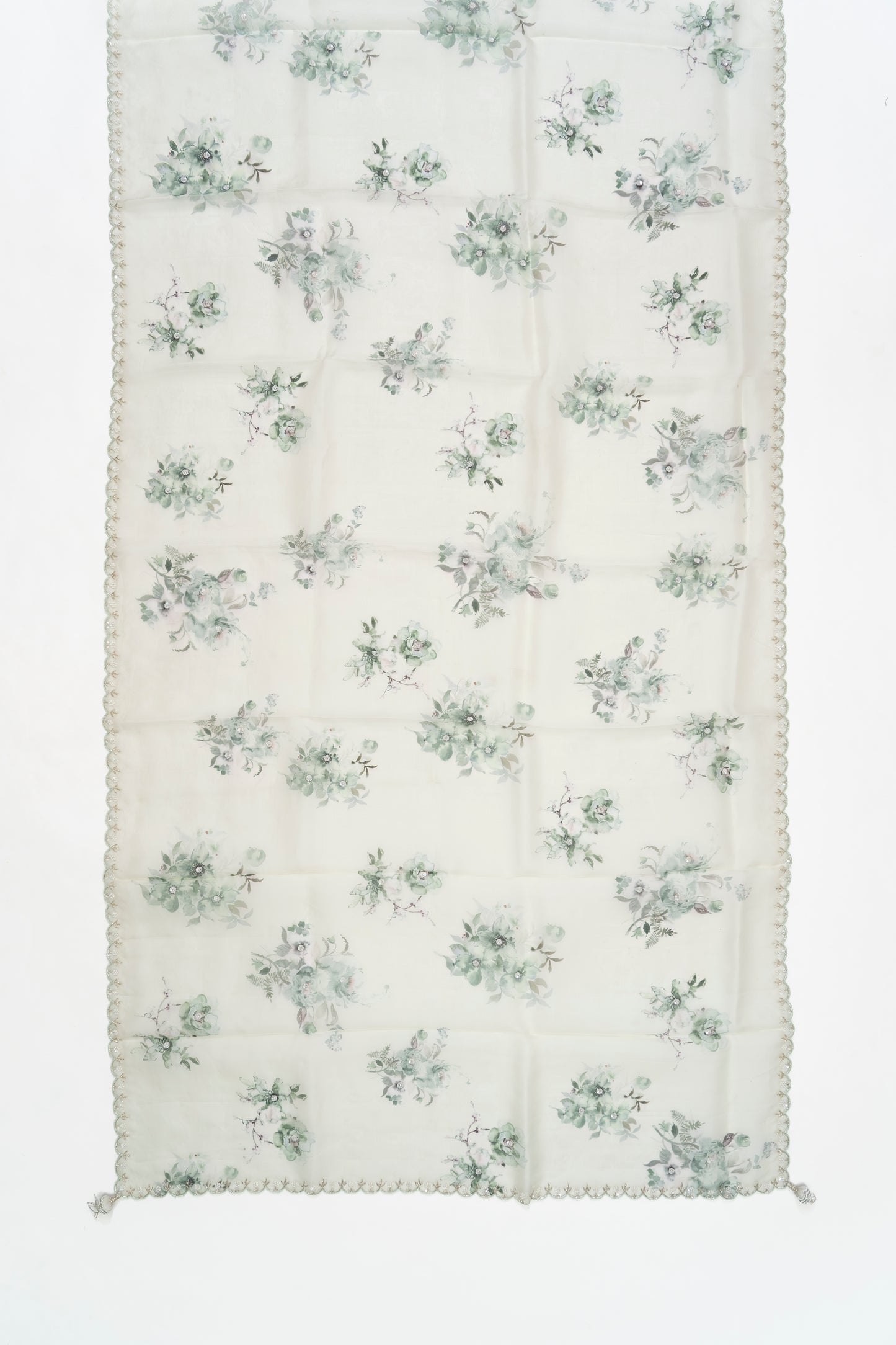 Pale Pista Green Printed Organza Saree
