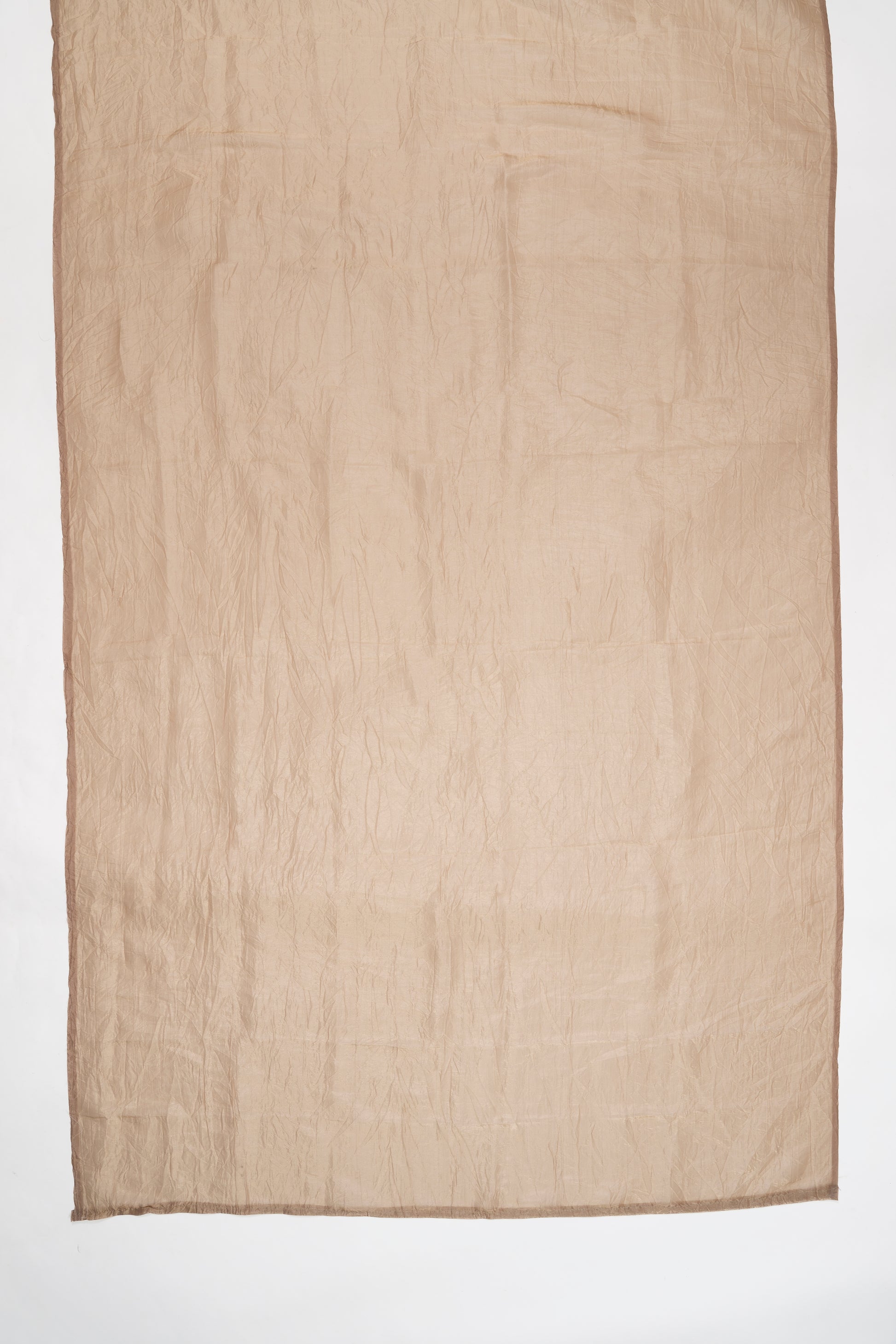 Pale Gold Embroidered Crush Tissue Saree