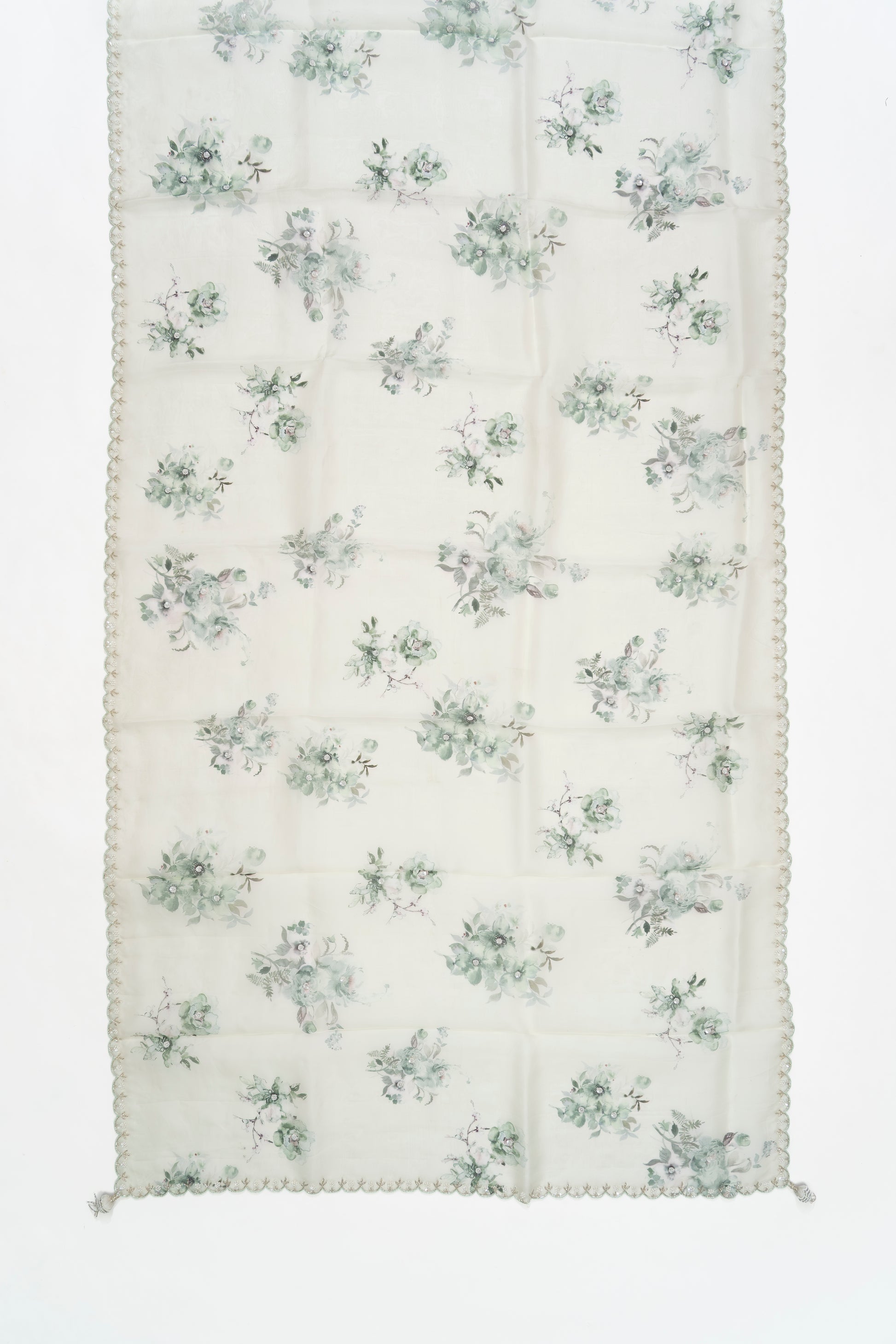 Pale Pista Green Printed Organza Saree